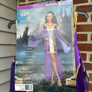 ￼Fair maiden costume women’s size 8-10